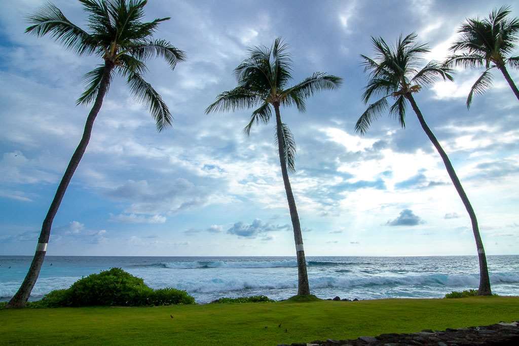 Kona Reef Otel Kailua-Kona Oda fotoğraf
